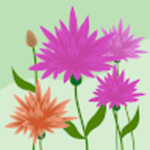 Meet your Posher, Alyce